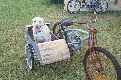 side carts for bikes